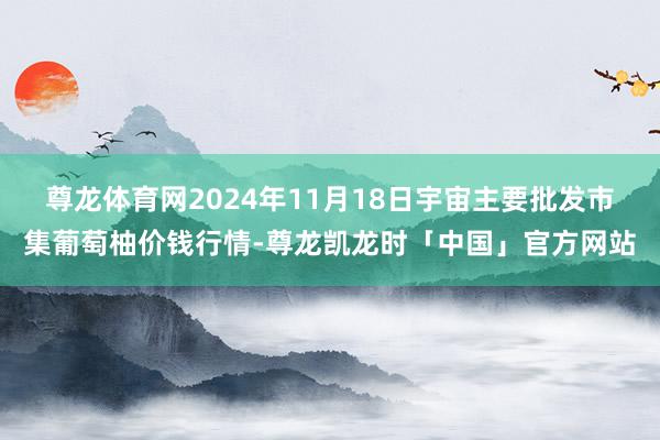 尊龙体育网2024年11月18日宇宙主要批发市集葡萄柚价钱行情-尊龙凯龙时「中国」官方网站