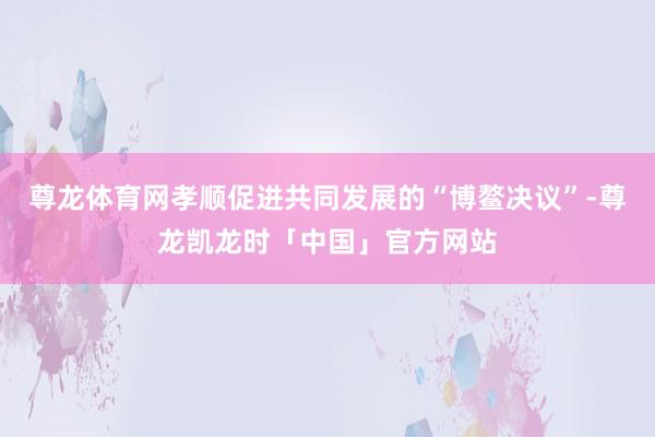 尊龙体育网孝顺促进共同发展的“博鳌决议”-尊龙凯龙时「中国」官方网站