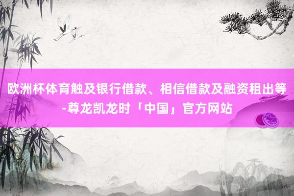 欧洲杯体育触及银行借款、相信借款及融资租出等-尊龙凯龙时「中国」官方网站