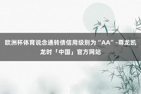 欧洲杯体育说念通转债信用级别为“AA”-尊龙凯龙时「中国」官方网站