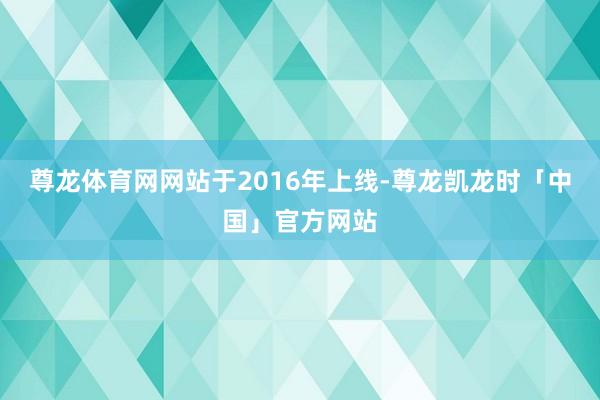 尊龙体育网网站于2016年上线-尊龙凯龙时「中国」官方网站