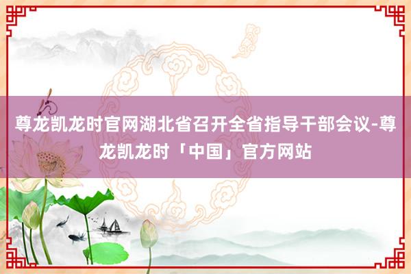 尊龙凯龙时官网湖北省召开全省指导干部会议-尊龙凯龙时「中国」官方网站