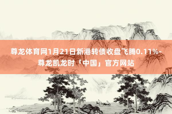 尊龙体育网1月21日新港转债收盘飞腾0.11%-尊龙凯龙时「中国」官方网站