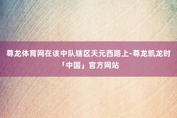 尊龙体育网在该中队辖区天元西路上-尊龙凯龙时「中国」官方网站