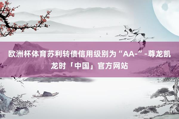 欧洲杯体育苏利转债信用级别为“AA-”-尊龙凯龙时「中国」官方网站